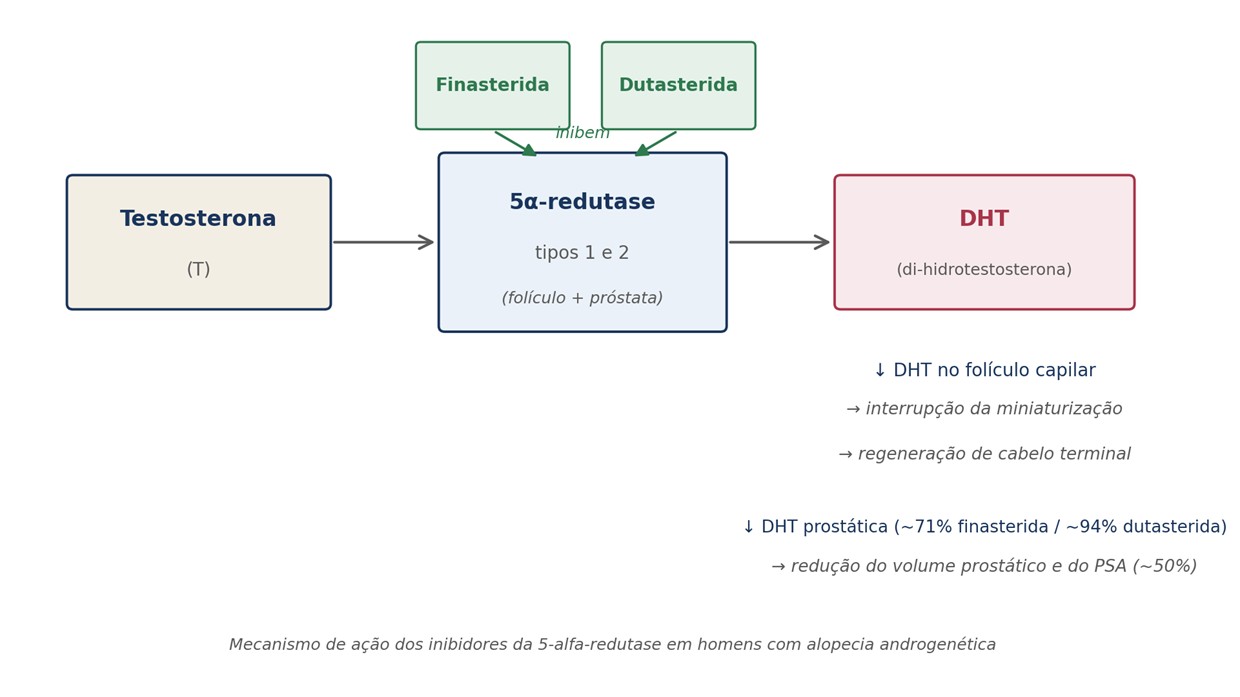 A finasterida (inibe o tipo 2) e a dutasterida (inibe os tipos 1 e 2) bloqueiam a conversão de testosterona em DHT — o hormônio responsável tanto pela miniaturização do folículo capilar quanto pelo crescimento prostático